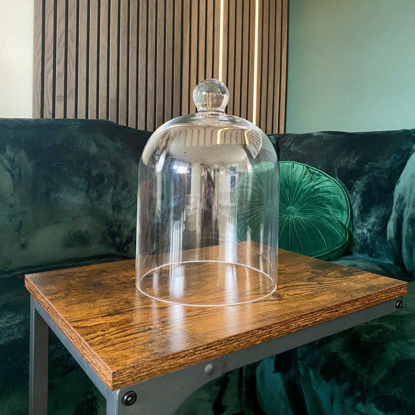 Glass Dome Display Cloche