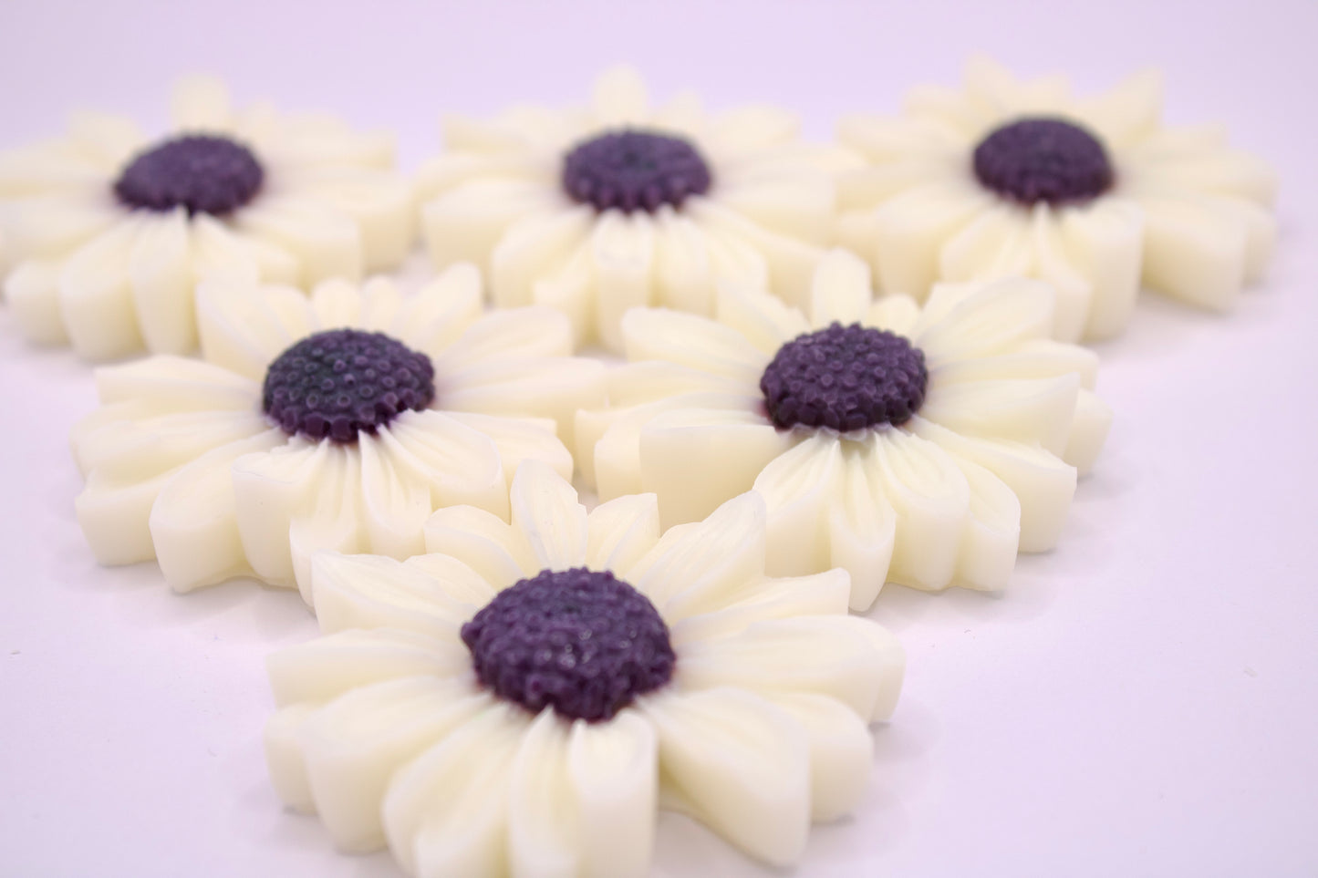 DULCE (Rhubarb + Plum + Blackberry) - Wax Melts