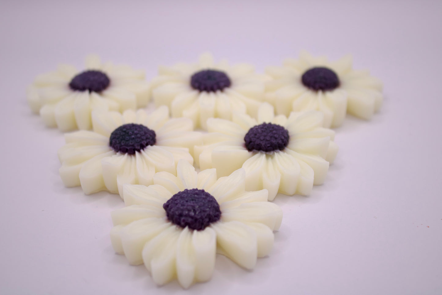 DULCE (Rhubarb + Plum + Blackberry) - Wax Melts