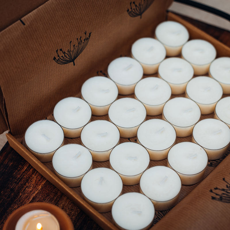 HAVANA NIGHTS (Cuban Tobacco + Cognac + Iriswood) - Scented Tea Lights